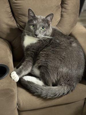 Michelle At Your Service