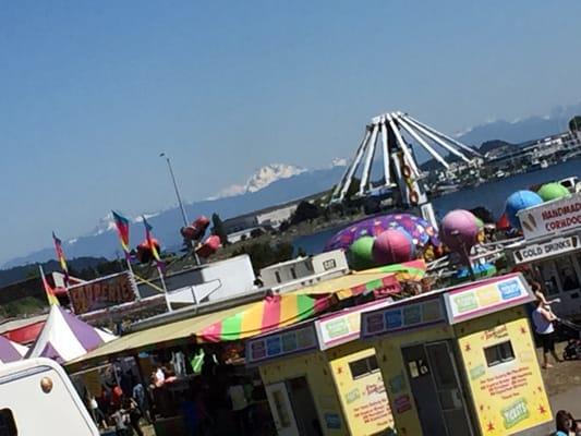 View from the studio of Holland Happening!