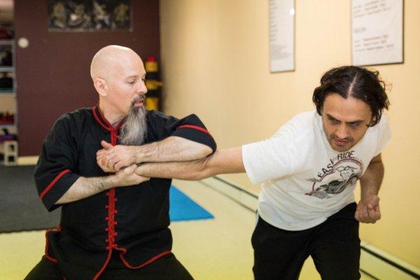 Northern Raptor Kung Fu