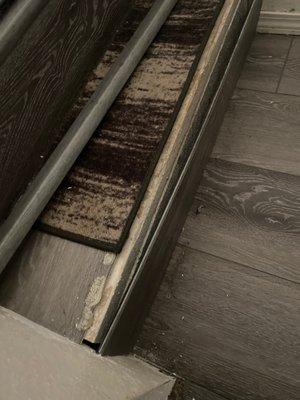 AMC Painting and Flooring