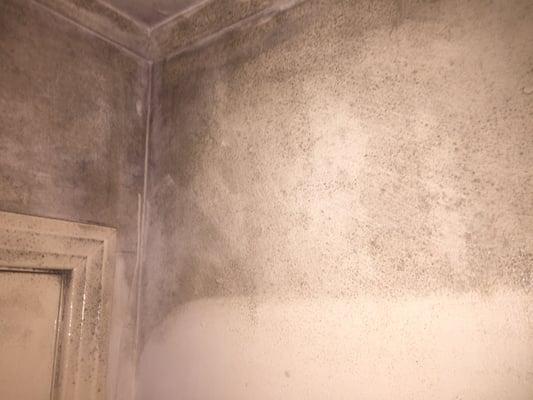Close up of mildew in a rental house in the process of being cleaned