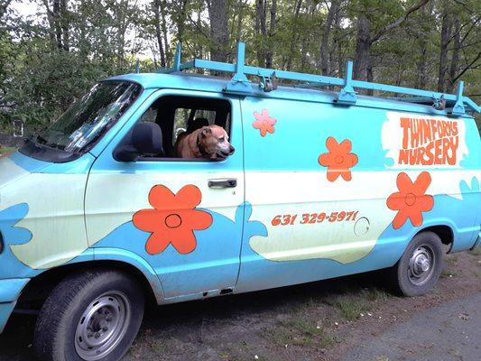 Mark Moskowitz Landscaping