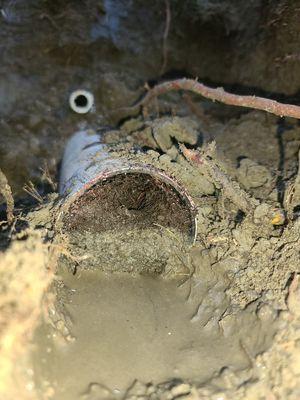 Master Mind Plumbing