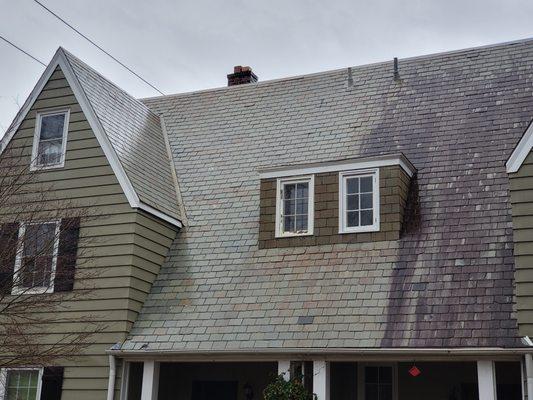 Panoramic View Window Cleaning & Roof Washing