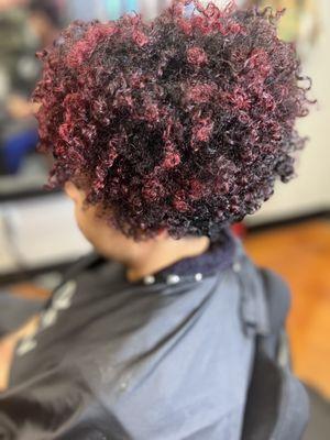 Curly cuts by Amber