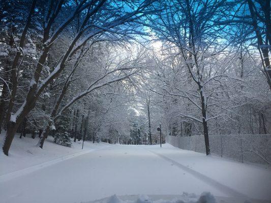 Cook park