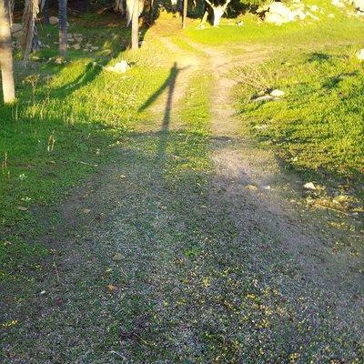 Tons of hiking, be adventurous!