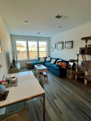 Squeaky Clean Services