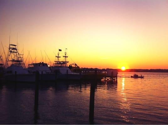 Maryland Coastal Bays Program
