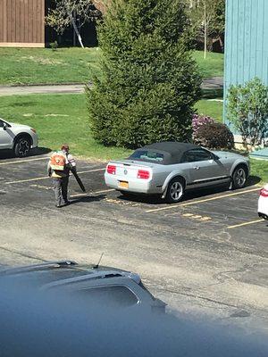 Eastern View Landscape Mgmt & Horticultural Svcs