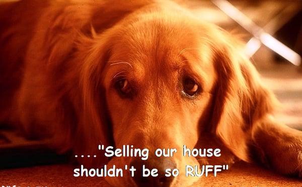 Patrick J Virgilio - Keller Williams Realty