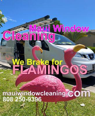 Maui Window Cleaning