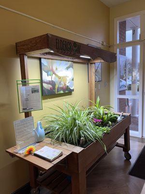 Woods Health Services