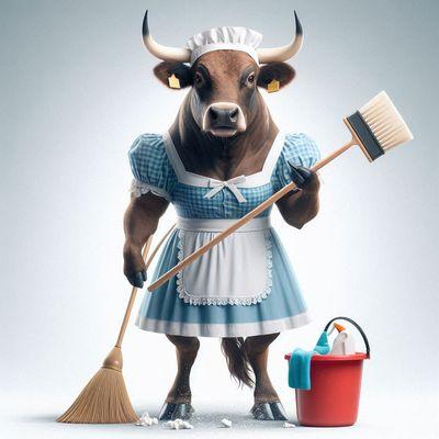 Big Bull Cleaning Service