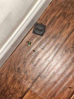 Reserve at Spring Pointe