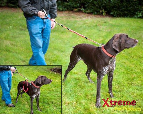 Security and Short Lead.