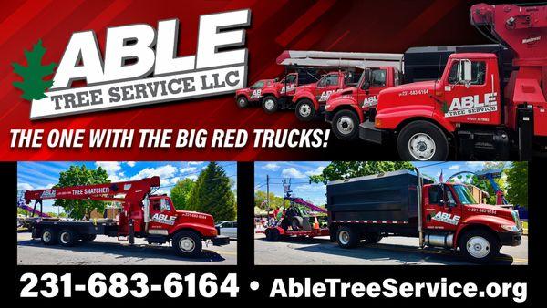 Able Tree Service