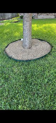 Freedom Lawn and Landwork