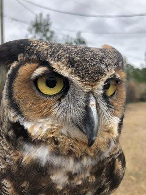 Freedom Ranch Wildlife Center