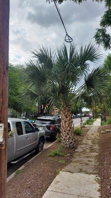 Knotty By Nature Tree Care