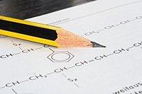 Warren Paint and Color