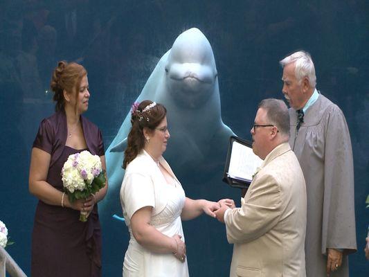 Timeless Moments Video