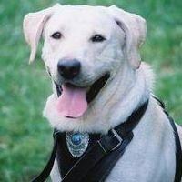 Tri State K9 Service