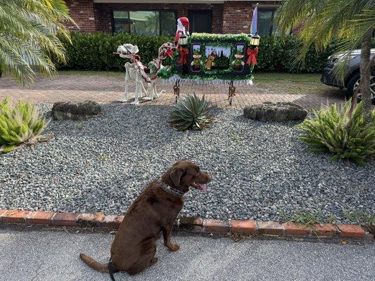 Forest Hill Animal Hospital