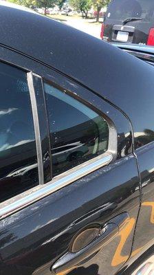 Stubby's Dog and Car Wash