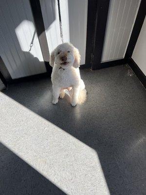 Pup-A-Razzi Pet Salon