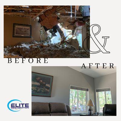 Elite Restoration - Bellevue