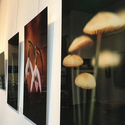 Art In The Valley