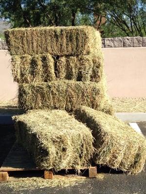 "Alfalfa"....dry, sun bleached, and often moldy. Often no one is available to load, so prepare to buck hay by yourself.