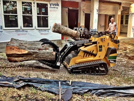 Arborvation Tree Care & Land Mgmt