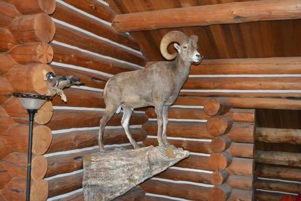 Missouri River Lodge