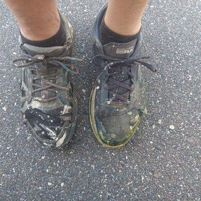 Triple Palms Properties