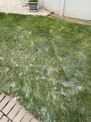 Arvidson Pools and Spas