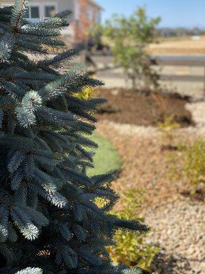 Exquisite Landscape Designs