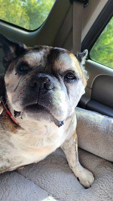 Crab Orchard Veterinary Services