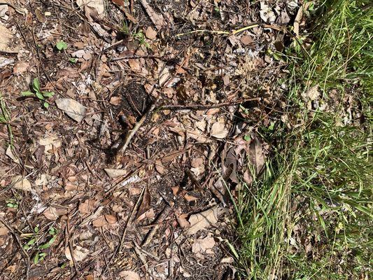 Godwin Green Roofing