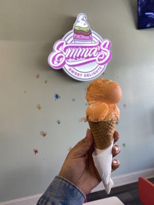Emma's Sweet Delights Ice Cream Shop