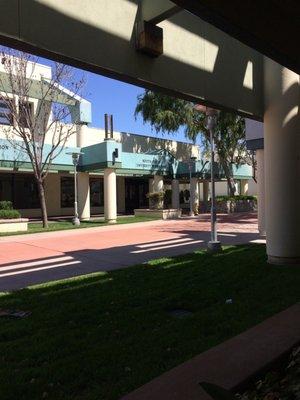 Western University Bookstore