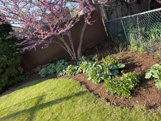 JGarcia's Tree Services