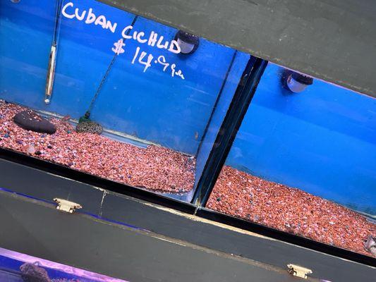  Lots of empty tanks
