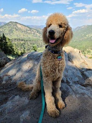 Edwin Bradt Grave/Bible Peak Trail