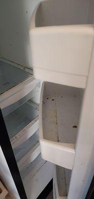 ESR Moving and Storage