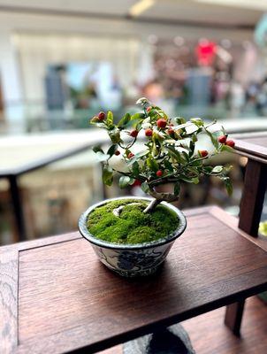 Southern California Spring Garden Show