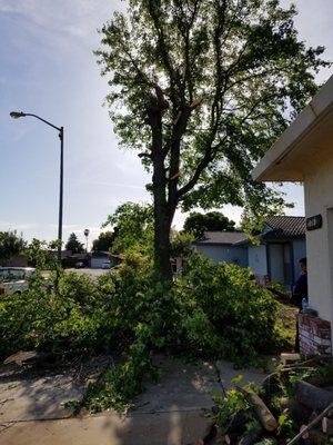 Crabbush landscaping and Hauling