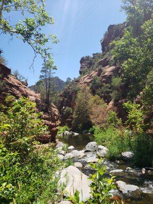 T's Trees & Lawn Services