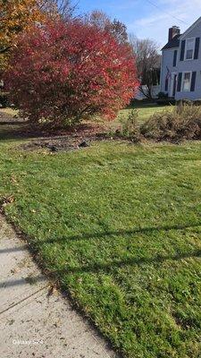 Clearview Lawn Care and Services